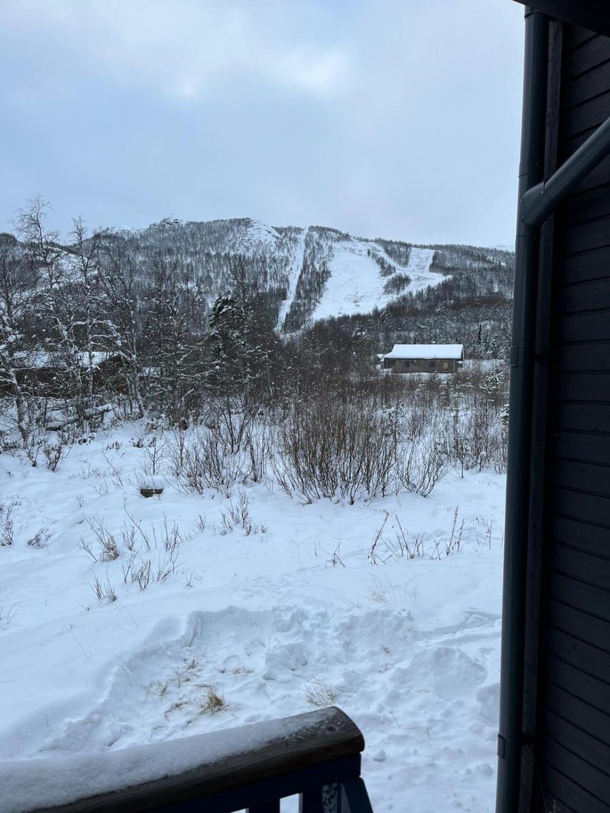 Beitostolen Rett Ved Raudalen Alpinanlegg 아파트 외부 사진